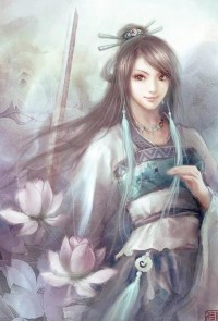 陨落的大仙叶枫苏启月